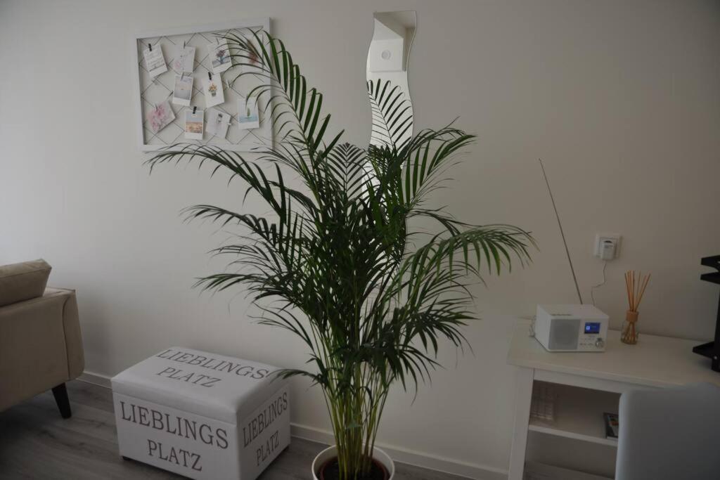 Lieblingsplatz Am Steinhuder Apartment
